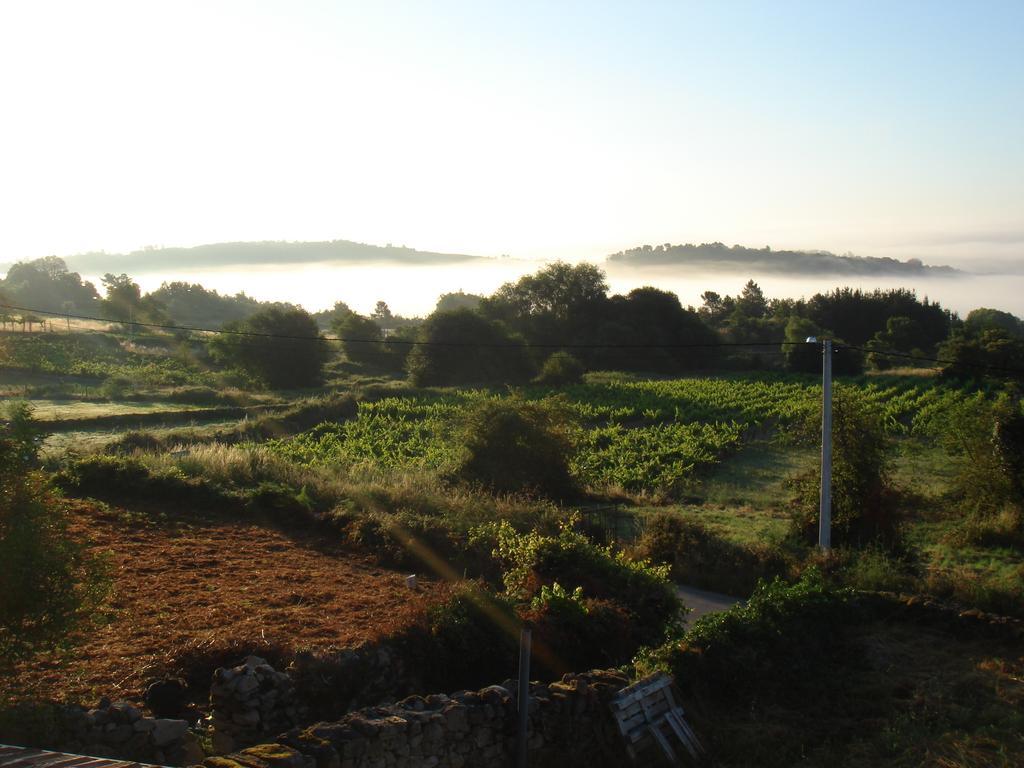 O Canto Da Terra Pantón Pokoj fotografie